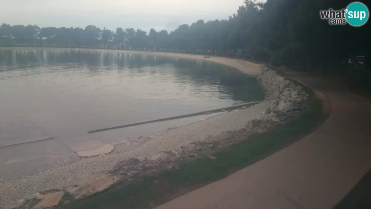 Novigrad – Plaža Karpinjan