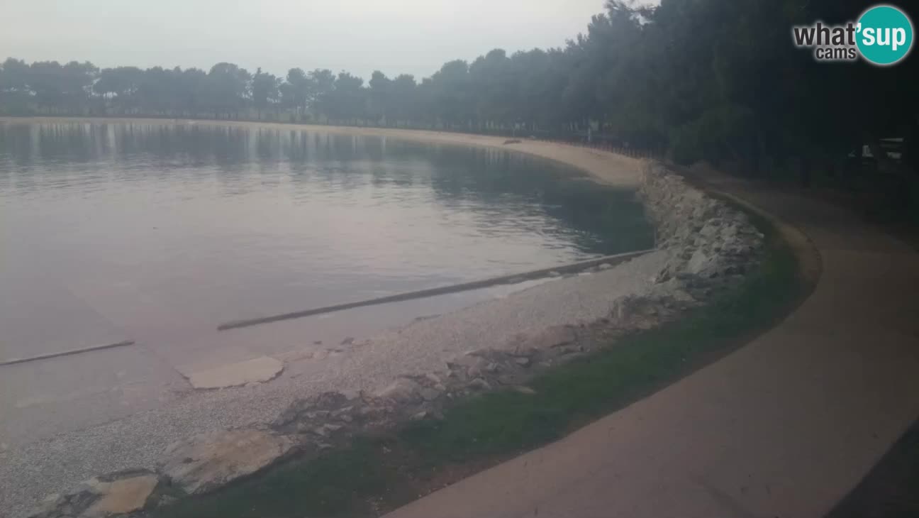 Novigrad – Plaža Karpinjan