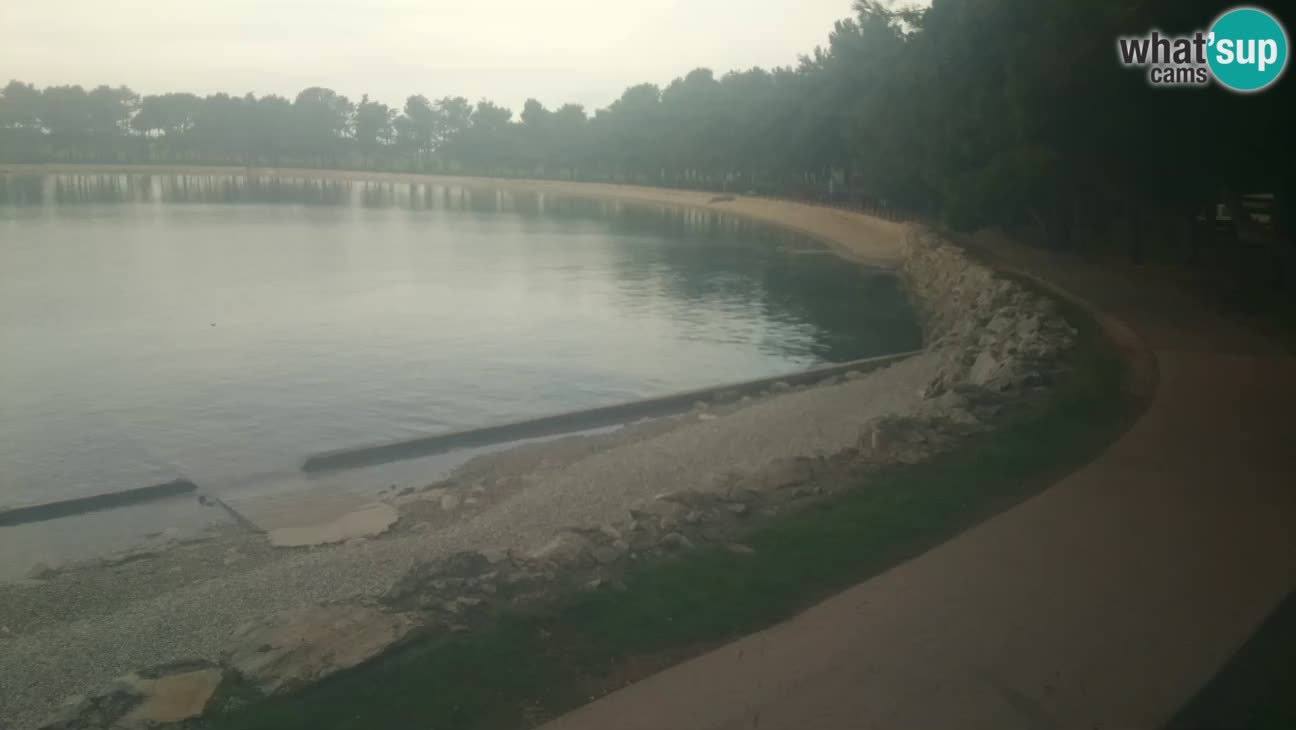 Cittanova – Spiaggia Karpinjan