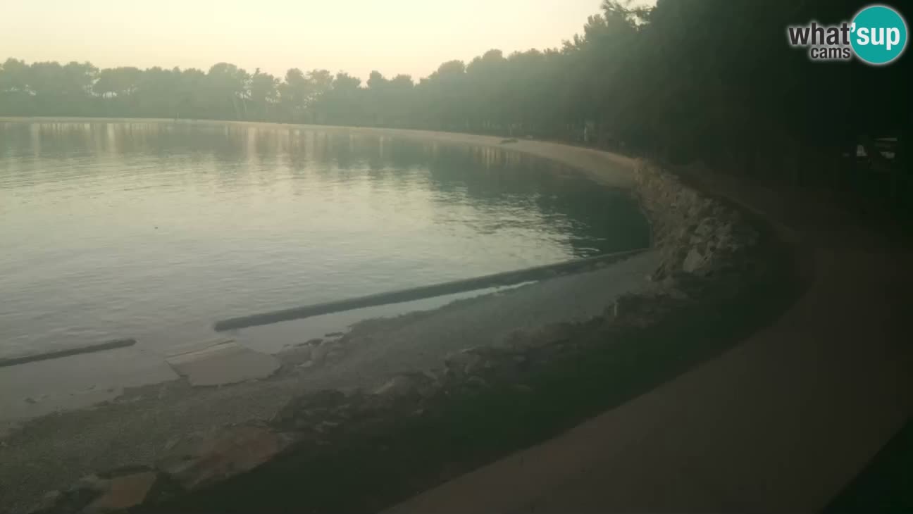 Novigrad – Plaža Karpinjan