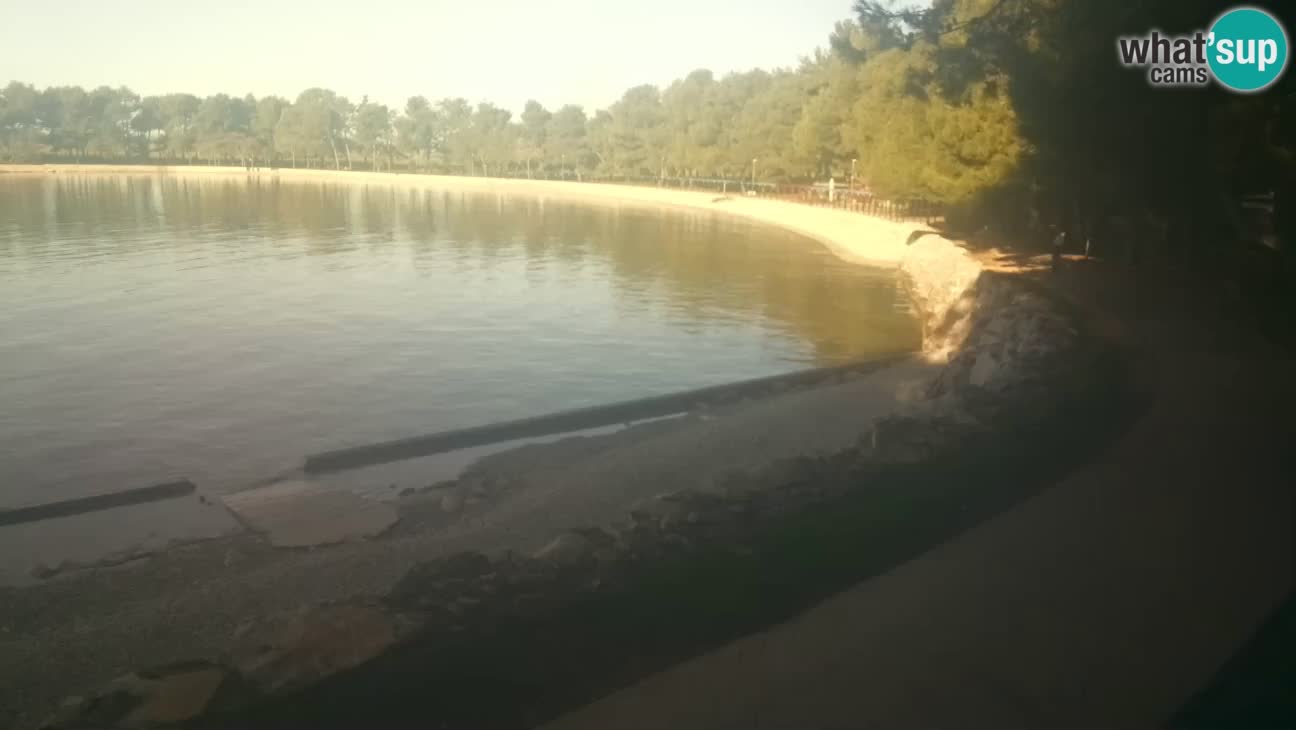 Novigrad – Strand Karpinjan webcam