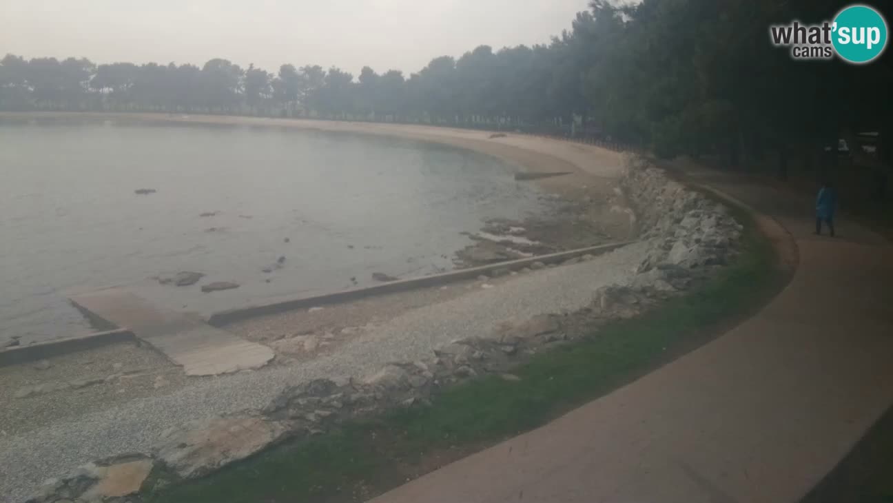 Novigrad live cam – Karpinjan beach