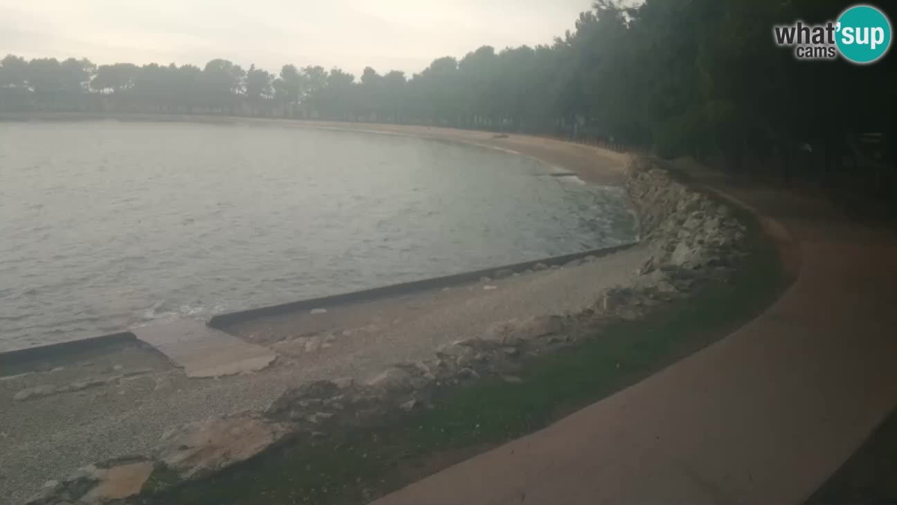 Novigrad – Strand Karpinjan webcam