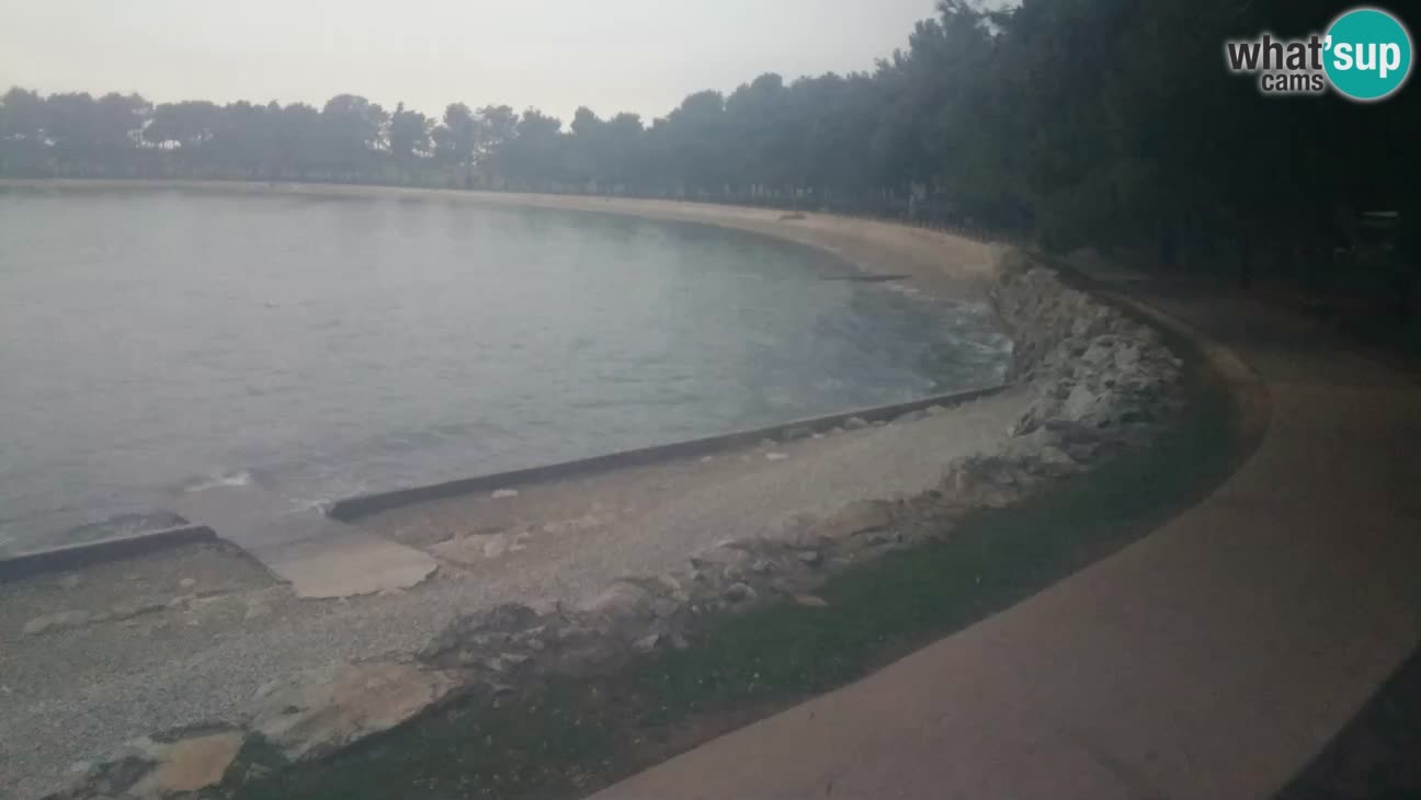 Novigrad – Plaža Karpinjan