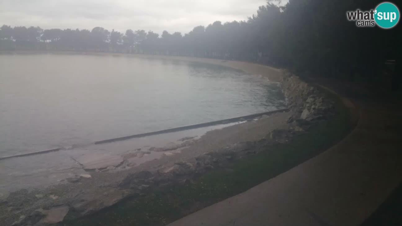 Novigrad – Plaža Karpinjan