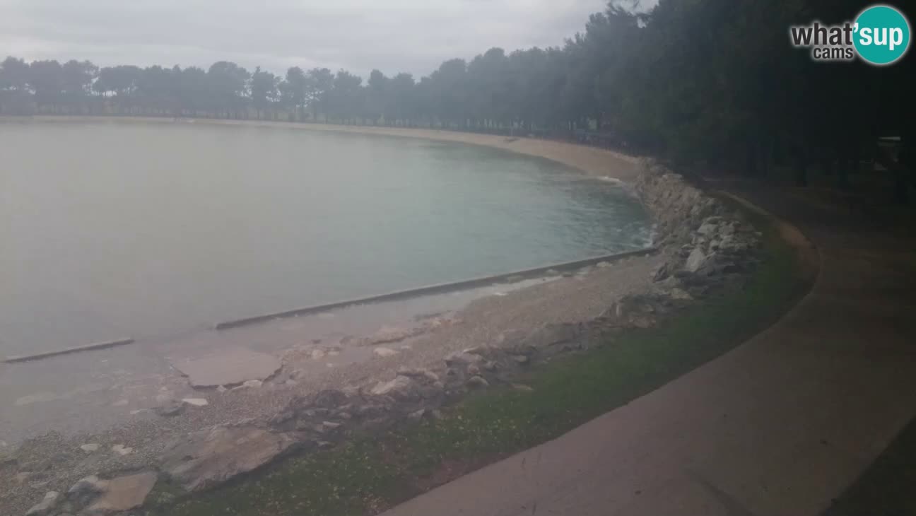 Novigrad – Strand Karpinjan webcam