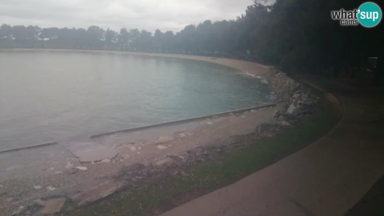 Novigrad – Strand Karpinjan webcam