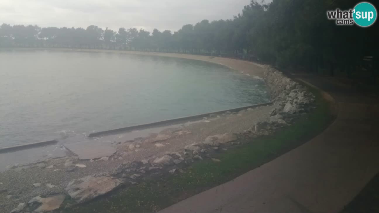 Novigrad – Plaža Karpinjan