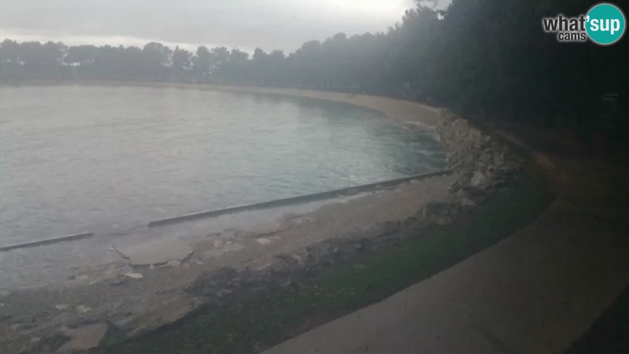 Novigrad – Plaža Karpinjan