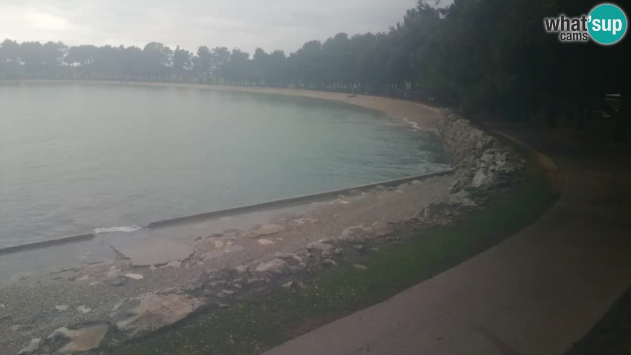 Novigrad – Plaža Karpinjan