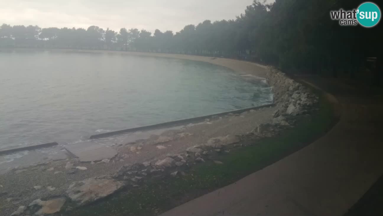 Novigrad – Strand Karpinjan webcam