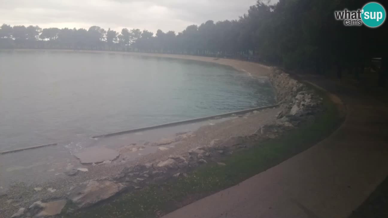 Novigrad – Plaža Karpinjan