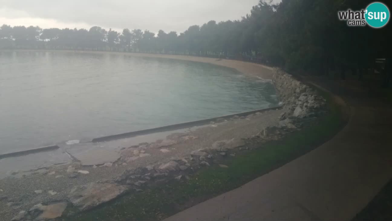 Novigrad – Plaža Karpinjan