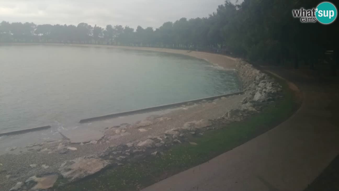 Novigrad – Plaža Karpinjan