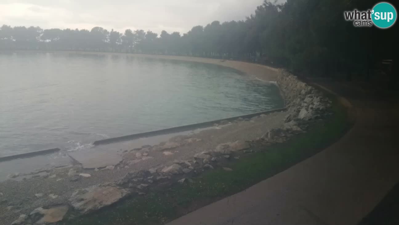 Novigrad – Strand Karpinjan webcam