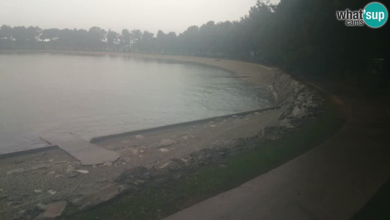 Novigrad – Plaža Karpinjan