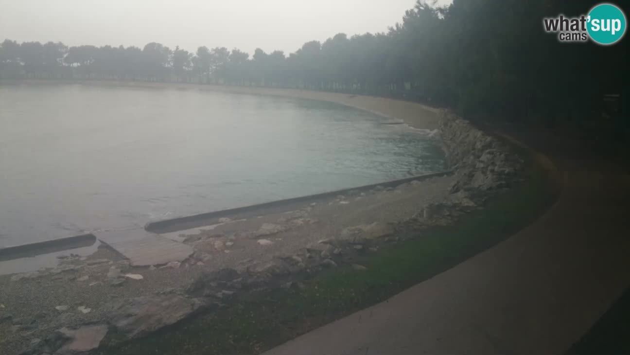 Novigrad – Plaža Karpinjan