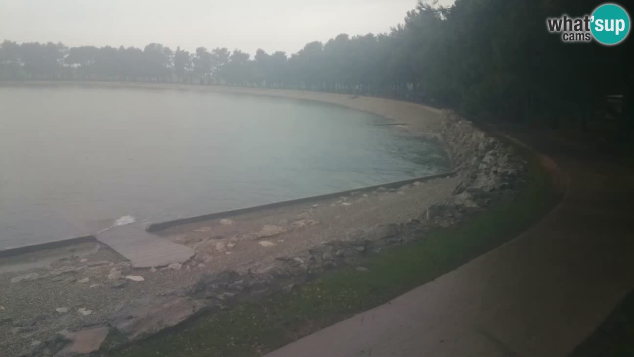 Novigrad – Plaža Karpinjan