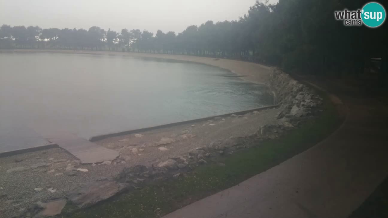 Novigrad – Strand Karpinjan webcam