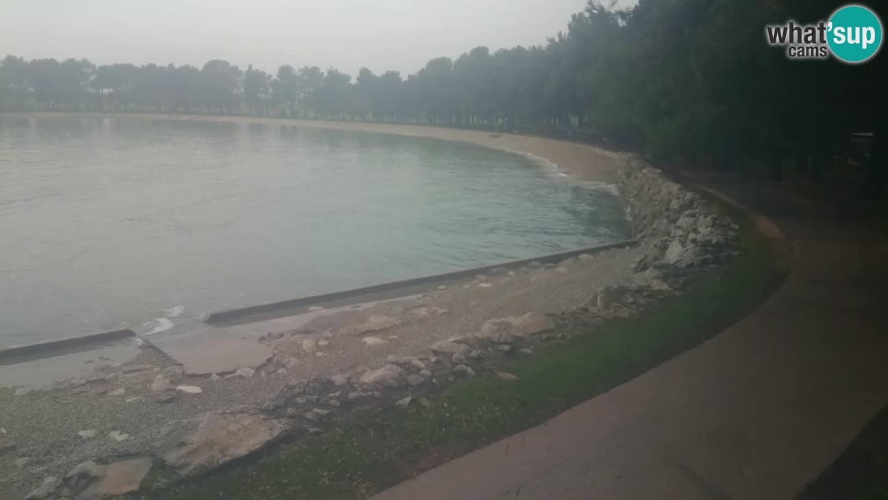 Novigrad – Plaža Karpinjan