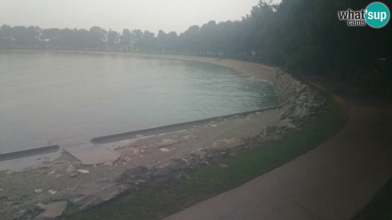 Novigrad – Strand Karpinjan webcam