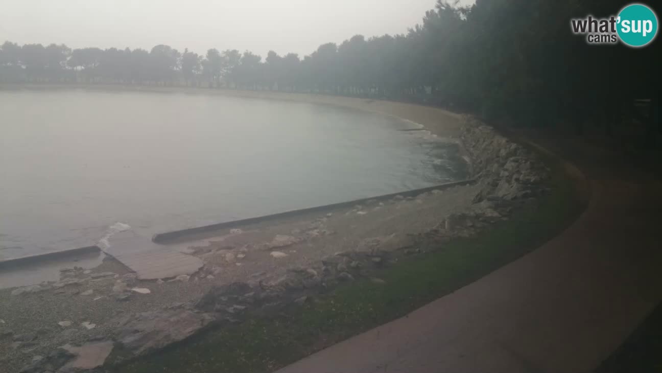 Novigrad – Strand Karpinjan webcam