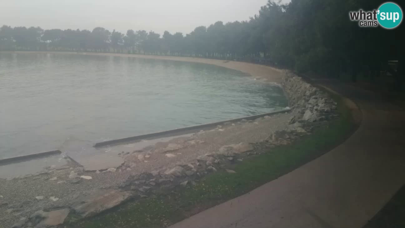 Novigrad – Plaža Karpinjan