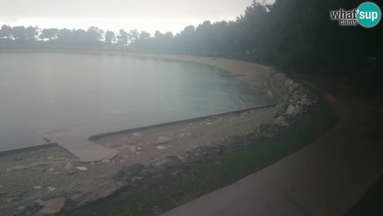 Novigrad – Playa Karpinjan