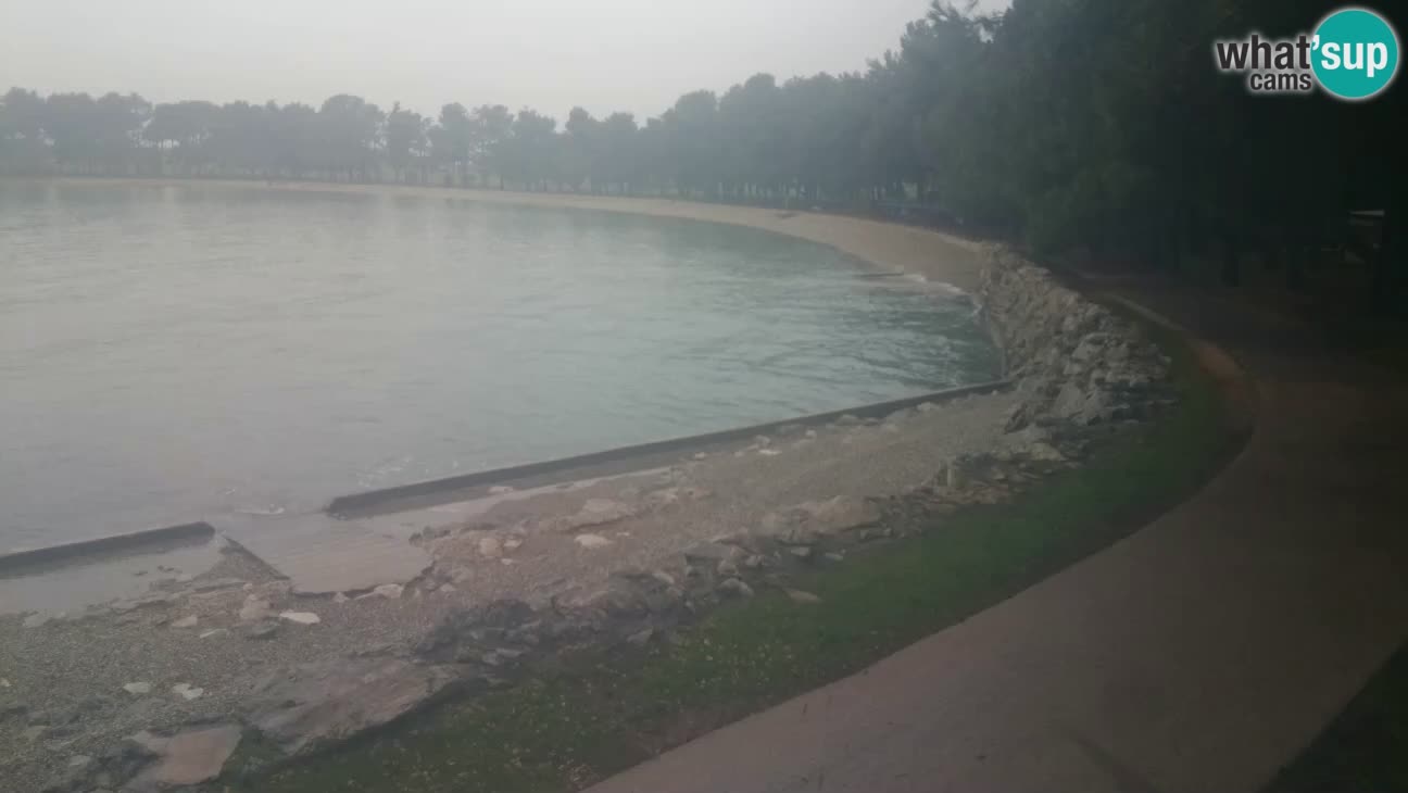 Novigrad – Plaža Karpinjan