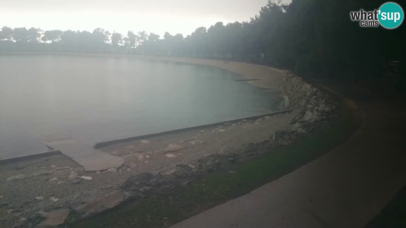 Novigrad – Strand Karpinjan webcam