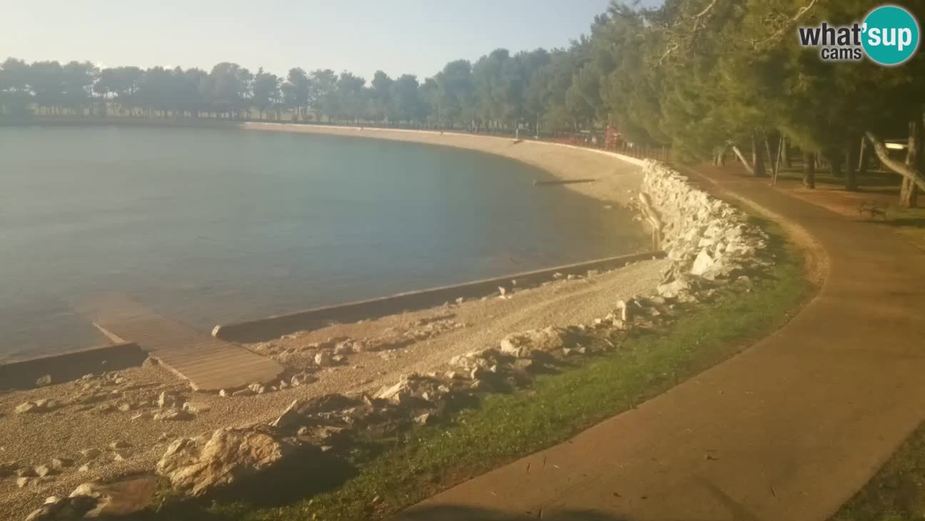 Novigrad – Strand Karpinjan webcam