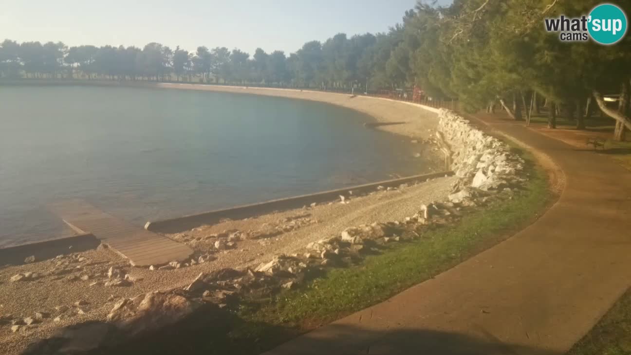 Novigrad – Playa Karpinjan