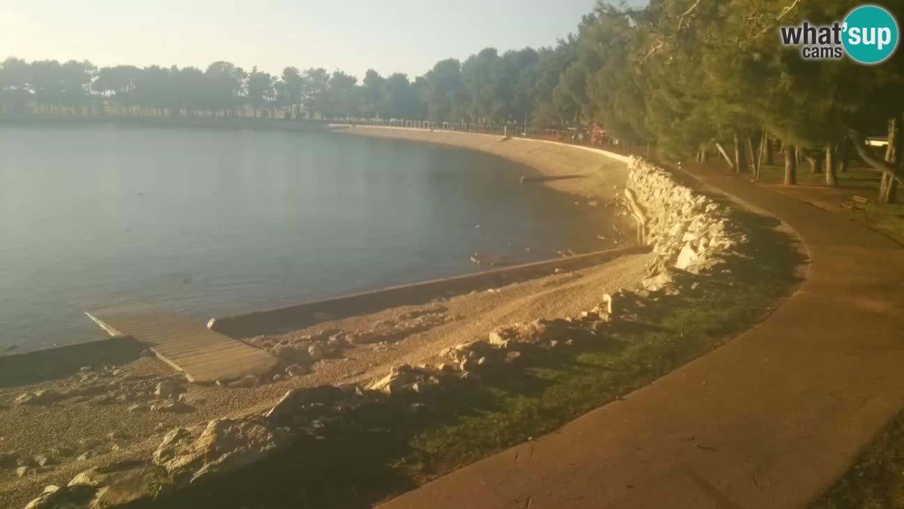 Novigrad – Plaža Karpinjan