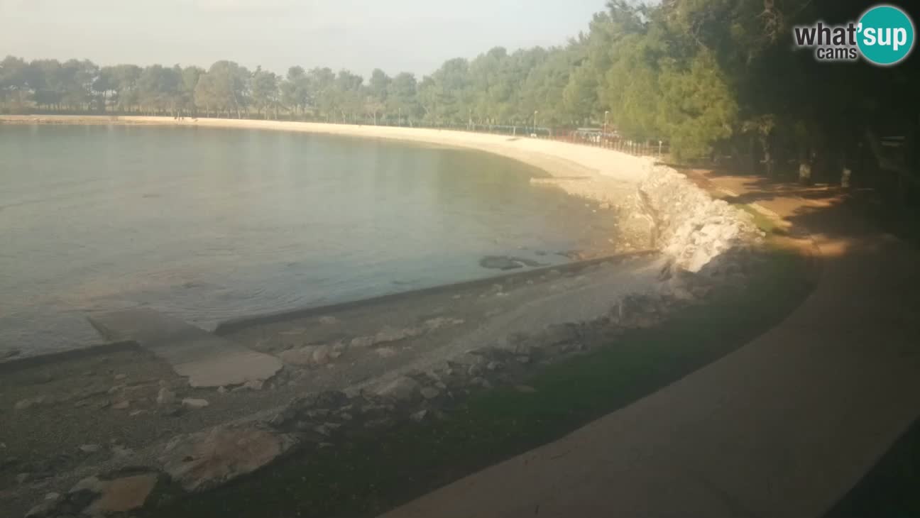 Novigrad – Plaža Karpinjan