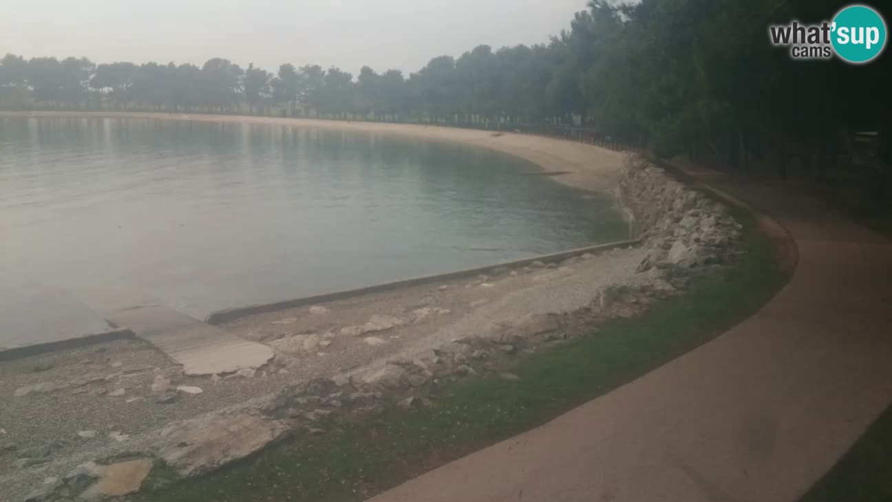 Novigrad – Plaža Karpinjan