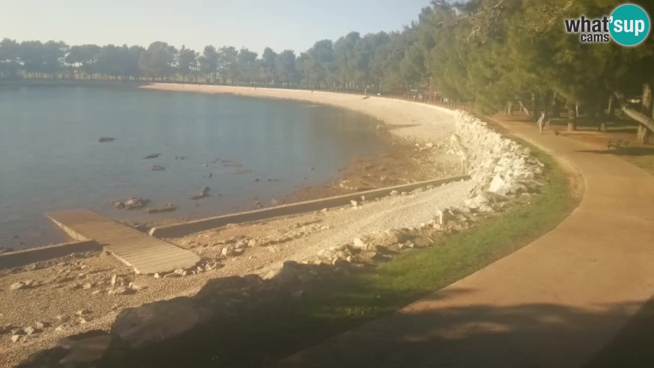 Novigrad – Plaža Karpinjan