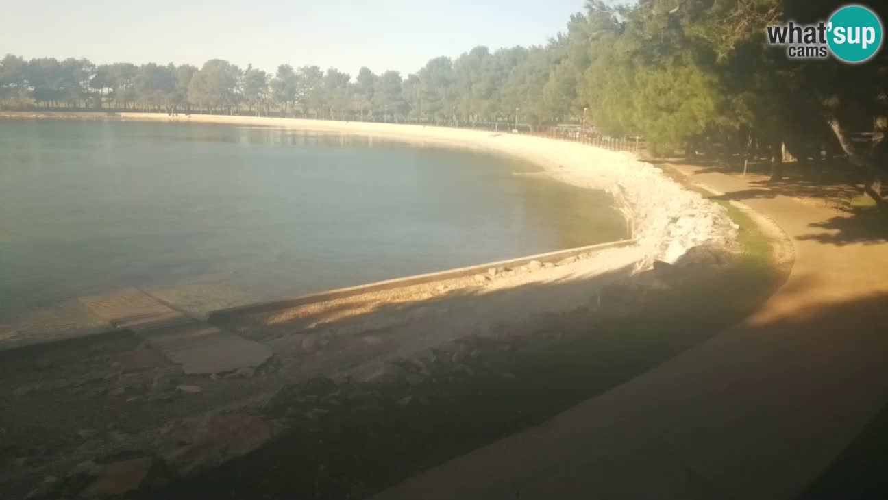 Novigrad – Strand Karpinjan webcam