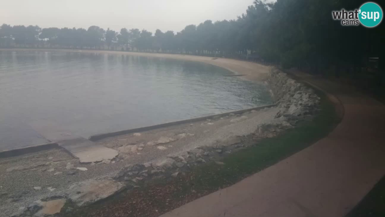 Novigrad – Plaža Karpinjan