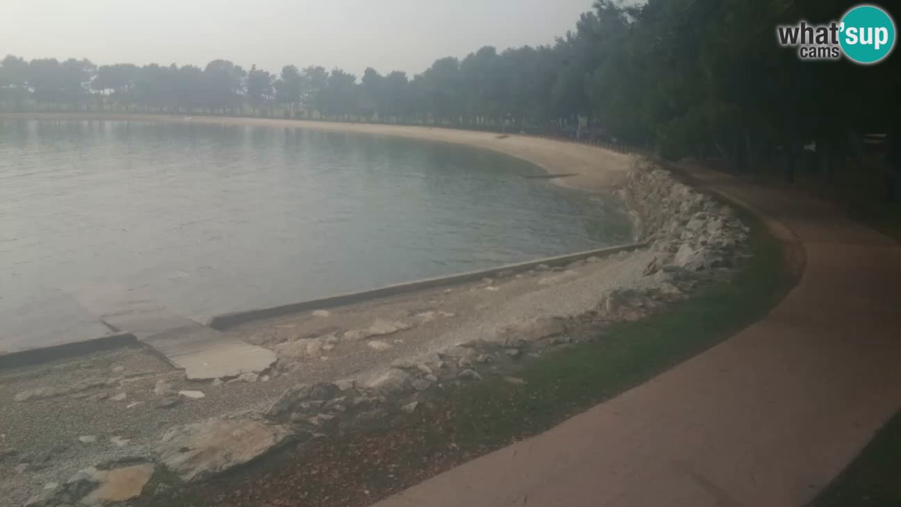 Novigrad – Plaža Karpinjan