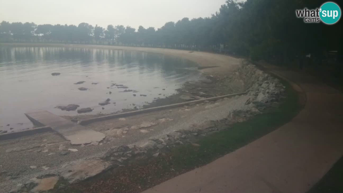 Novigrad – Plaža Karpinjan