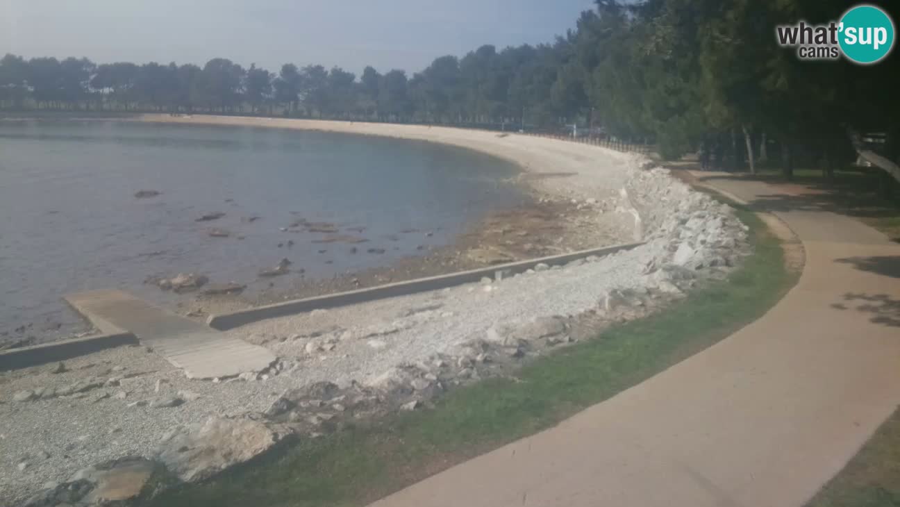 Novigrad – Plaža Karpinjan