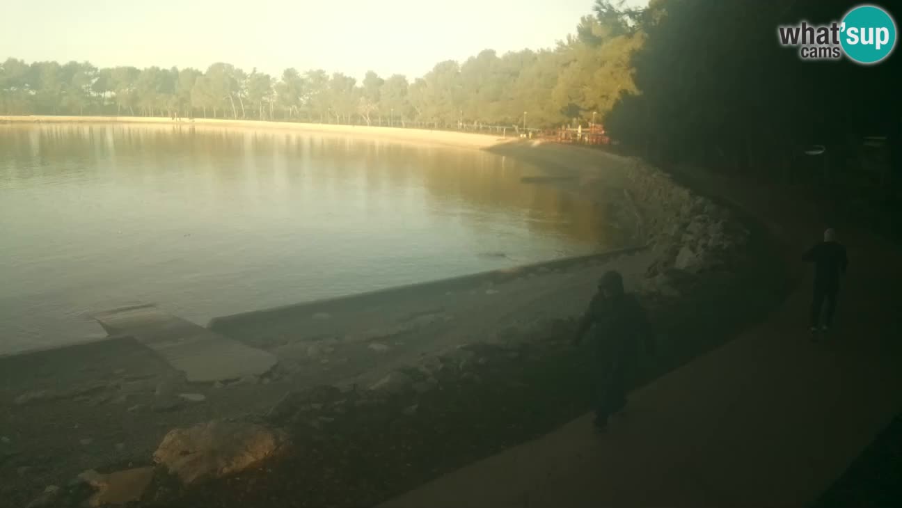 Novigrad live cam – Karpinjan beach