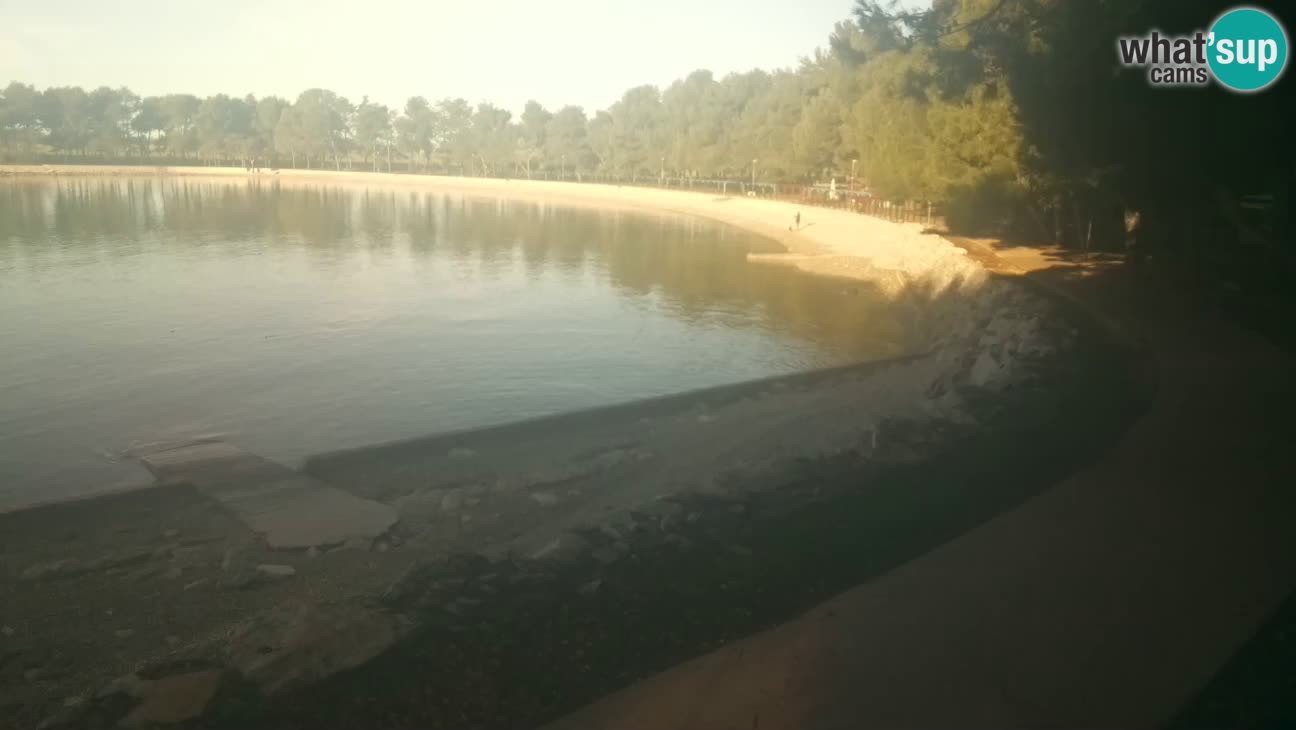 Novigrad live cam – Karpinjan beach