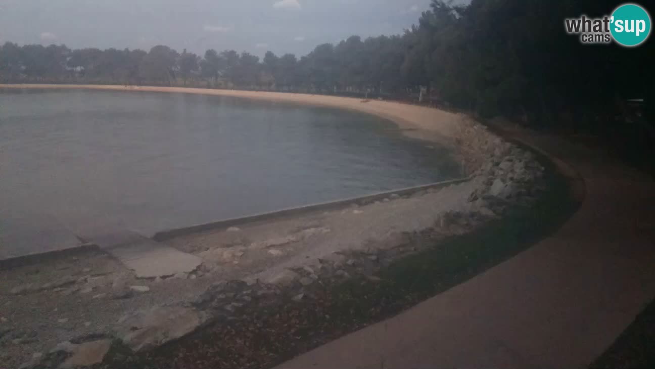 Novigrad – Strand Karpinjan webcam