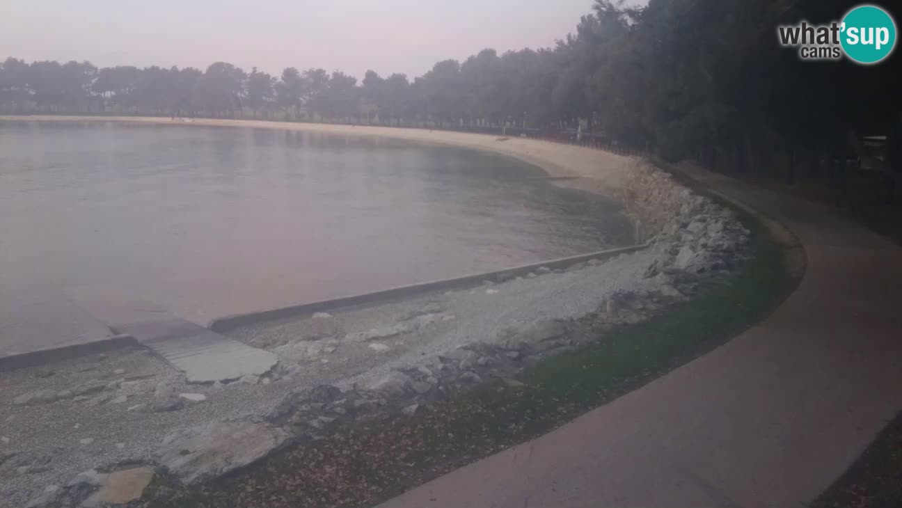 Novigrad – Playa Karpinjan