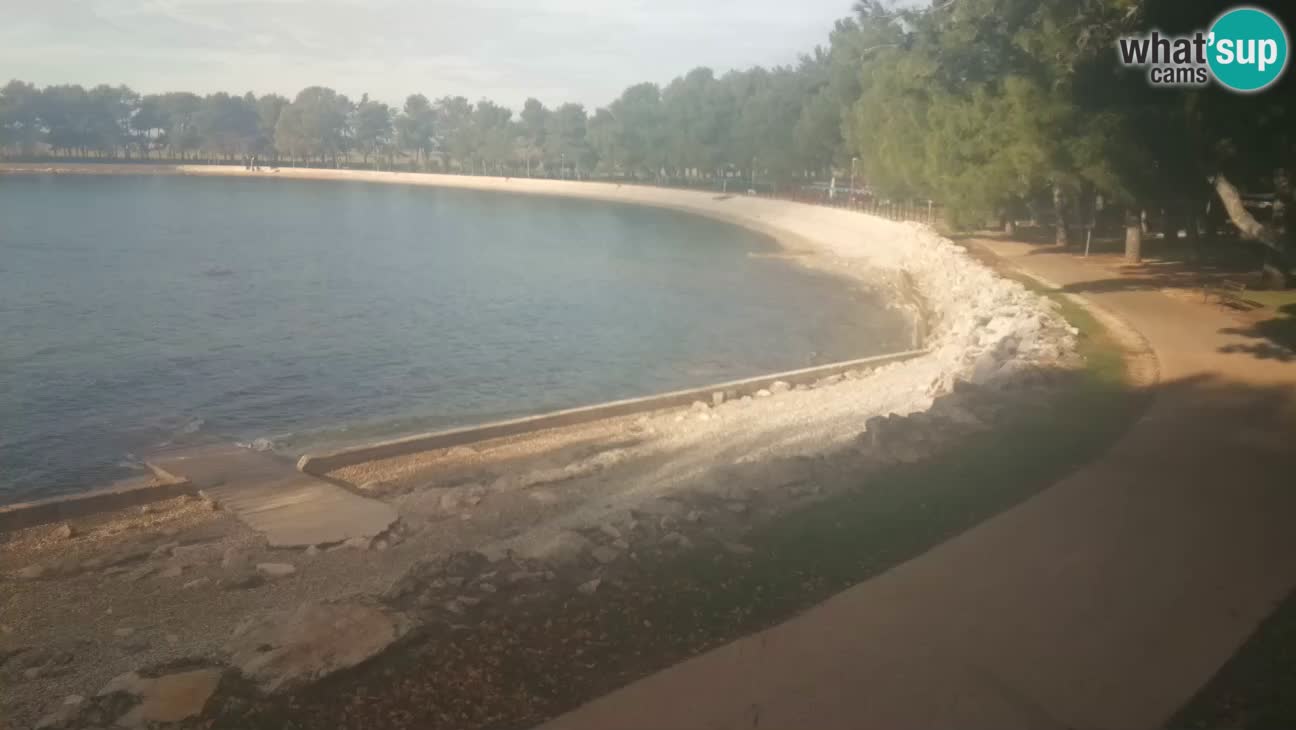 Novigrad live cam – Karpinjan beach