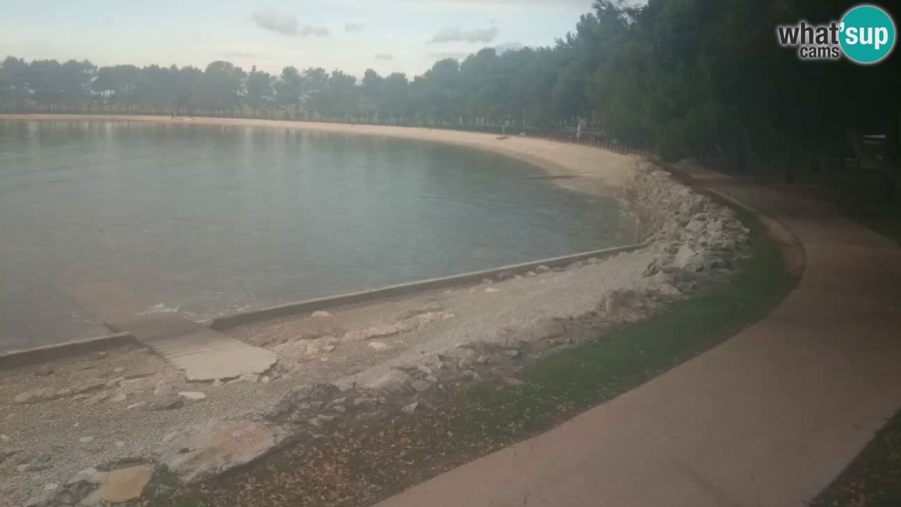 Novigrad – Plaža Karpinjan