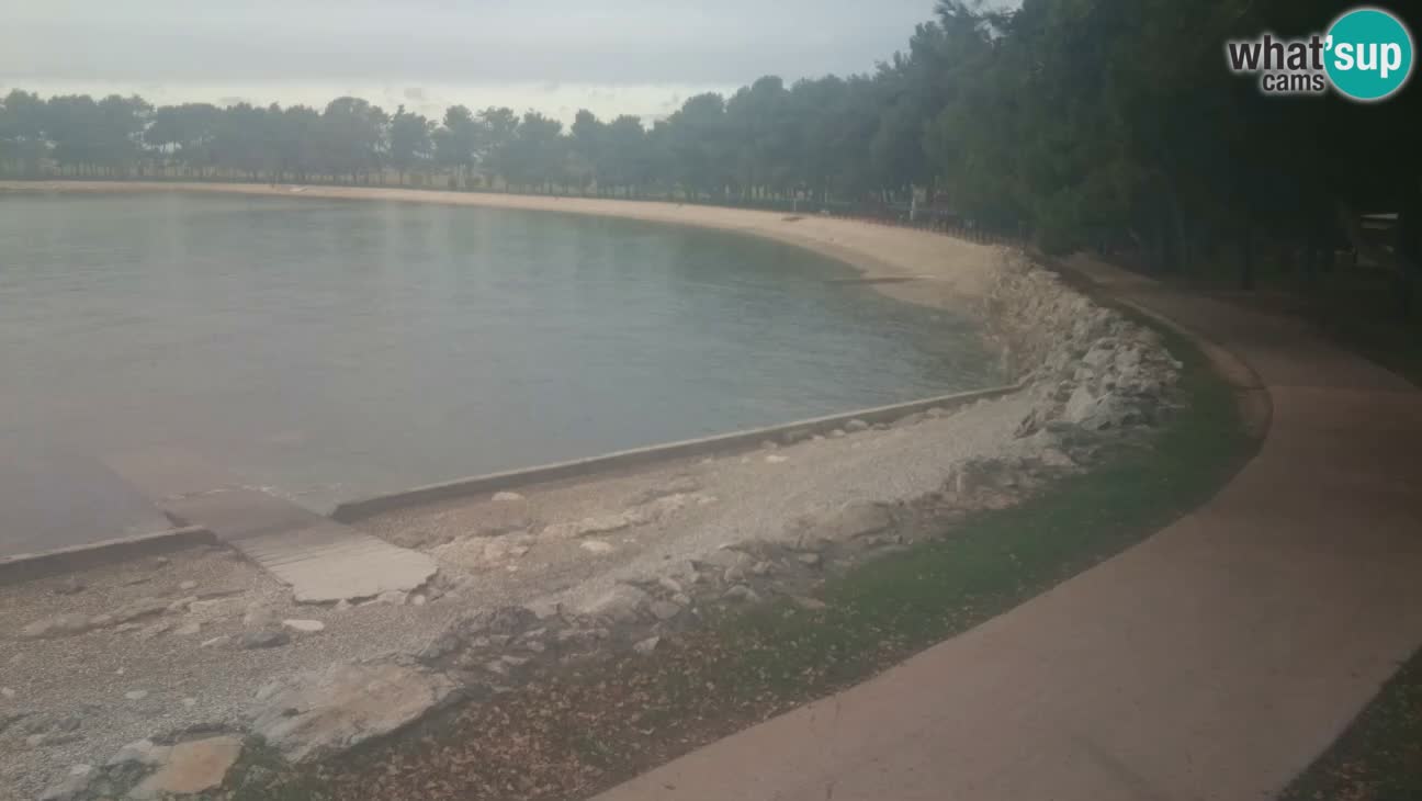 Novigrad live cam – Karpinjan beach