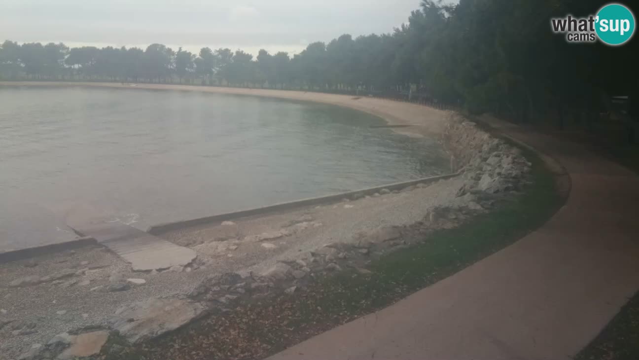 Novigrad – Plaža Karpinjan