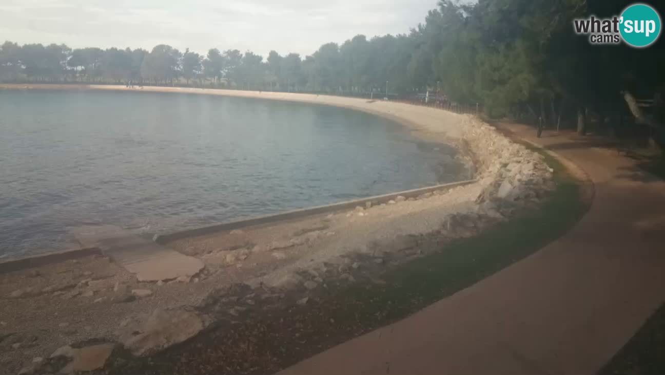 Novigrad – Strand Karpinjan webcam